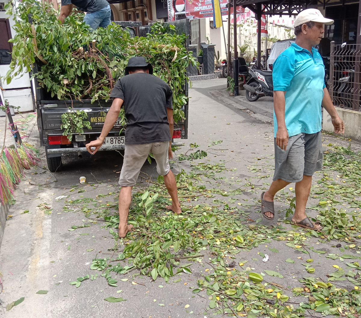 Memotong pohon kerjabakti