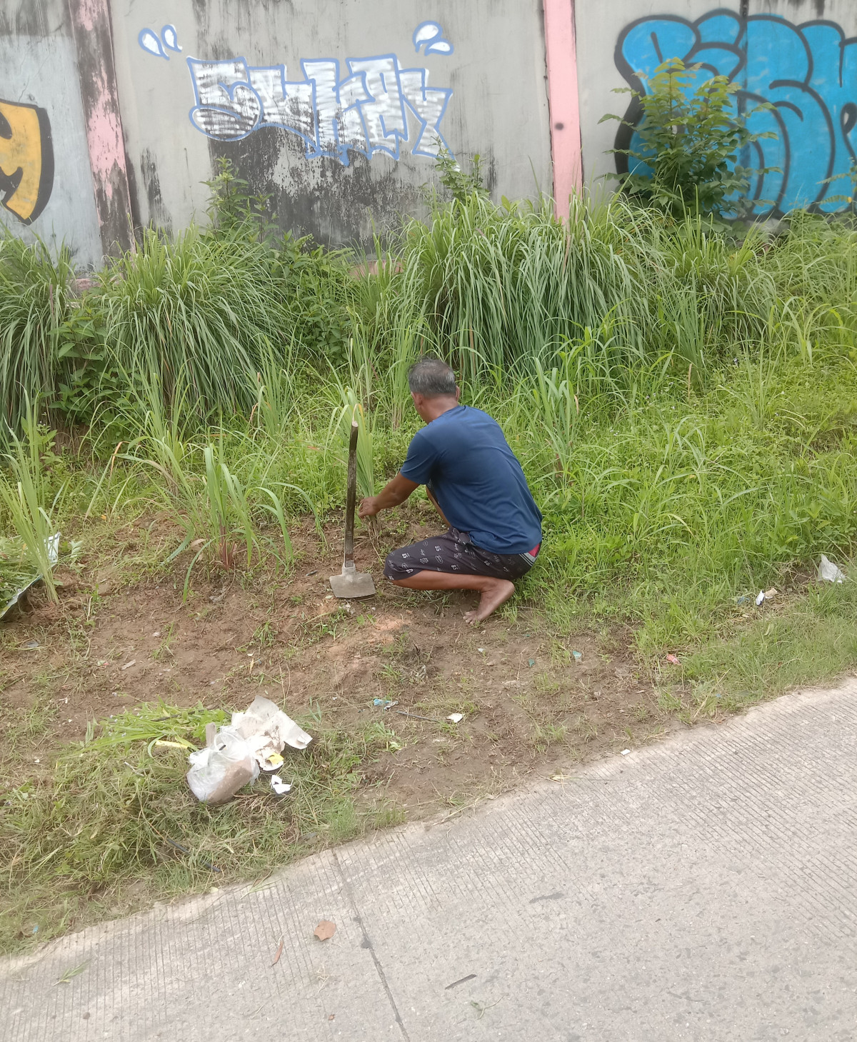 Potong rumput