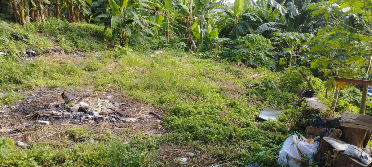 Motong rumput