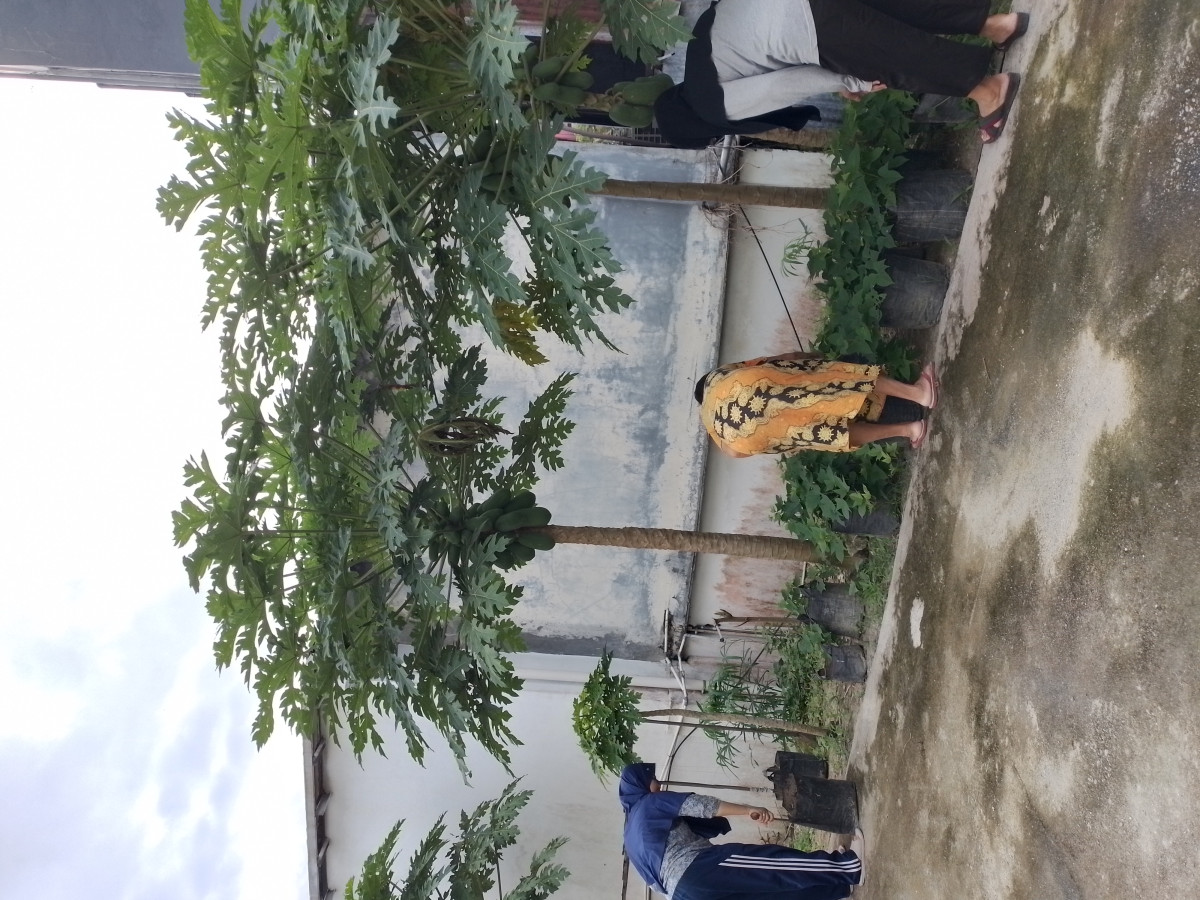 Kerjabakti di wilayah rt 31