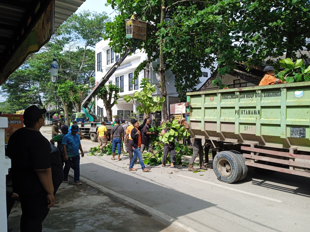 Pemangkasan pohon di depan lap bulutangkis jln. Angklung