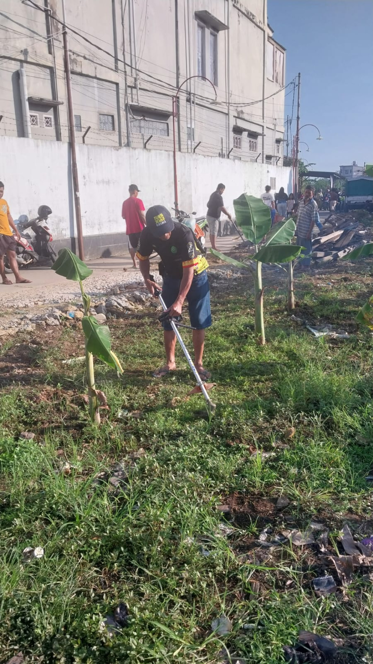 kegiatan memotong rumput