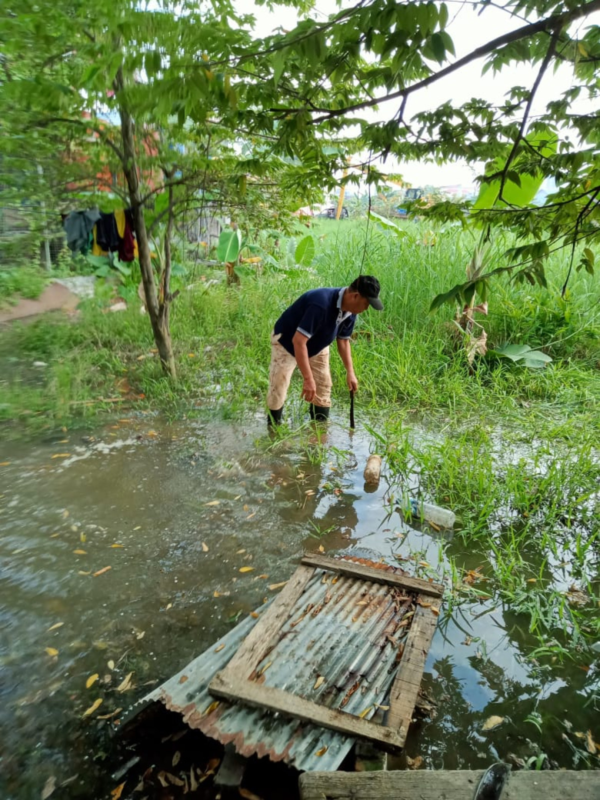 Kegiatan kerja Bakti Membersihkan Rumput di sekitar Langgar Istiqomah