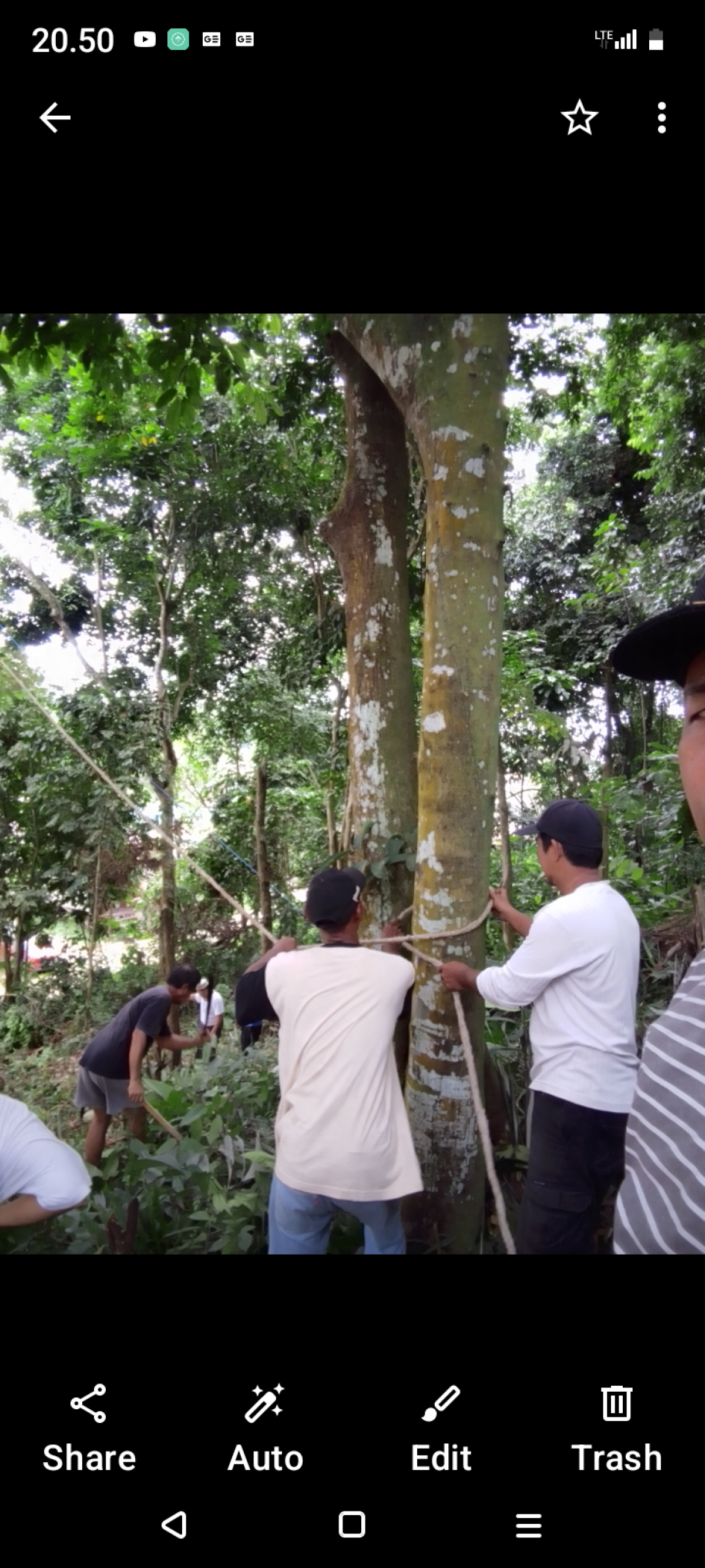 Gotong royong