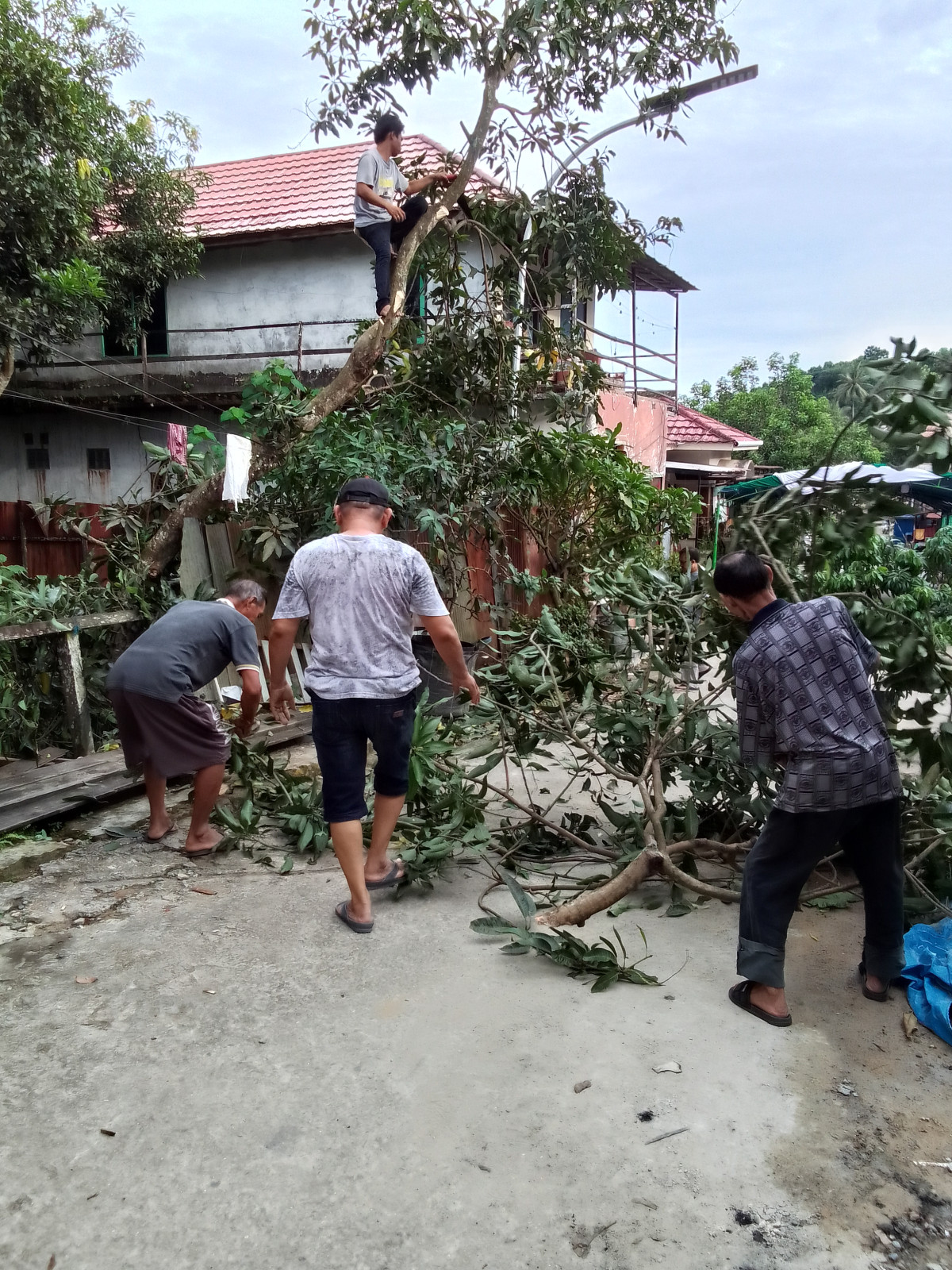 Gotong royong