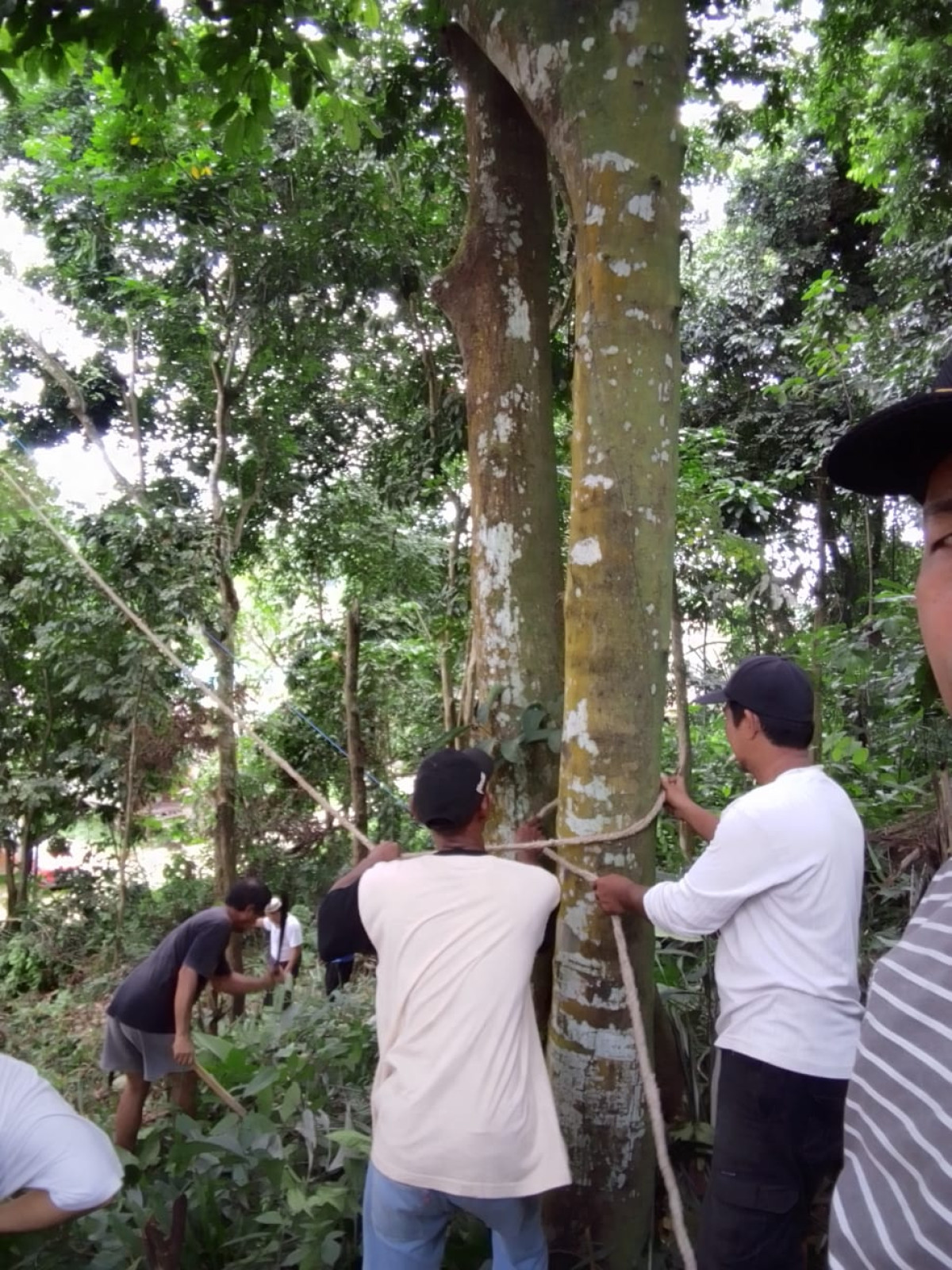 Gotong royong