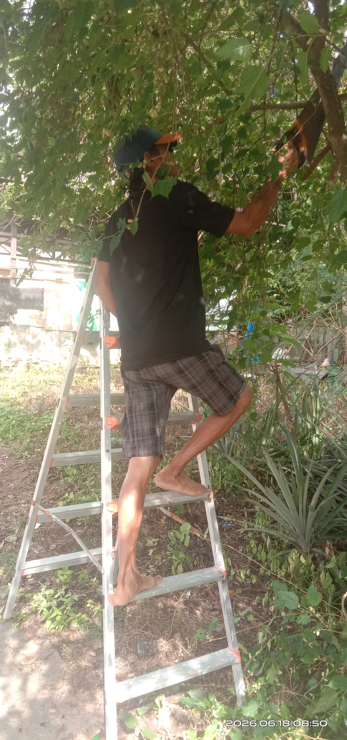 Gotong royong