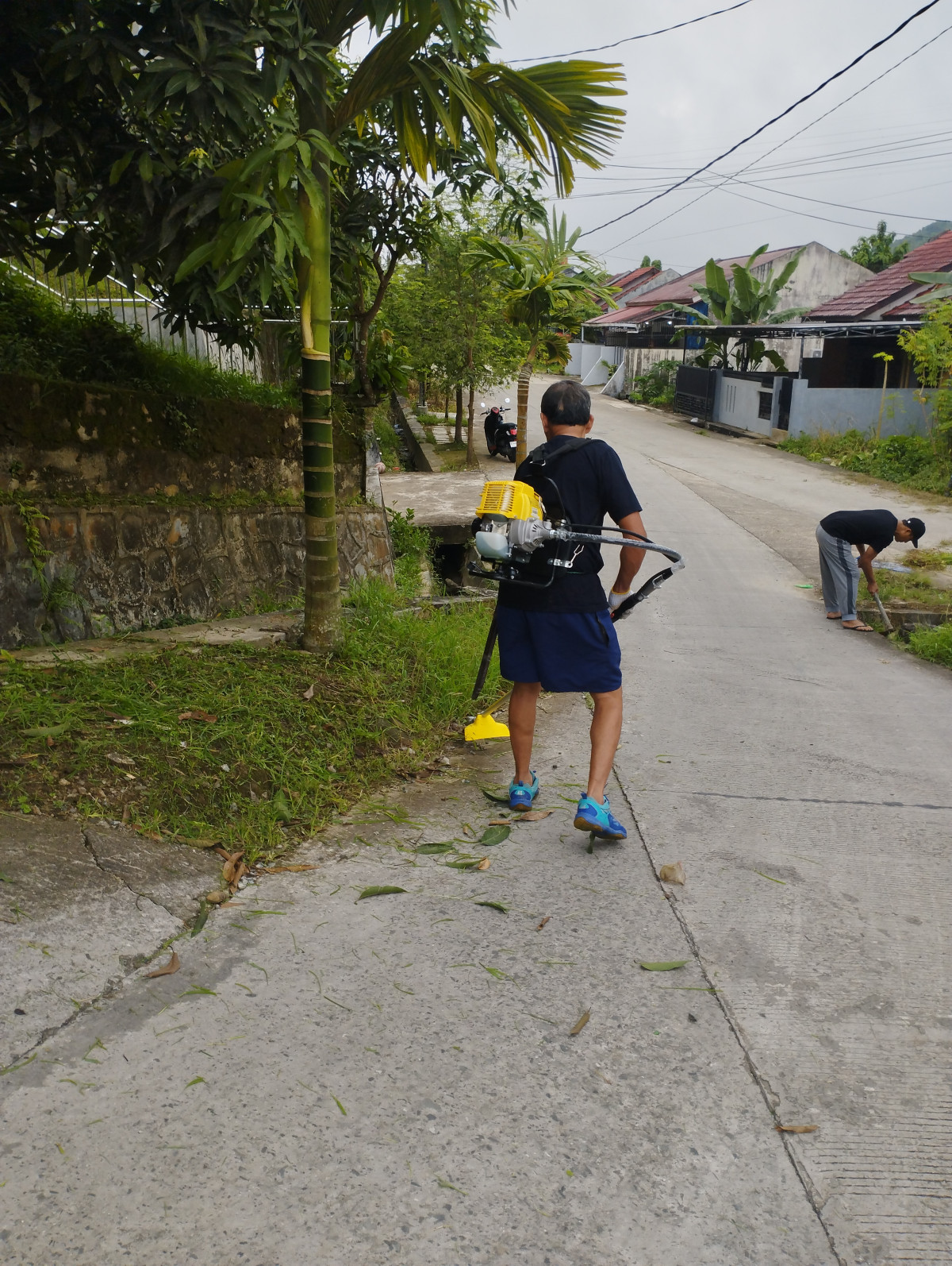 Potong rumput jalan poros