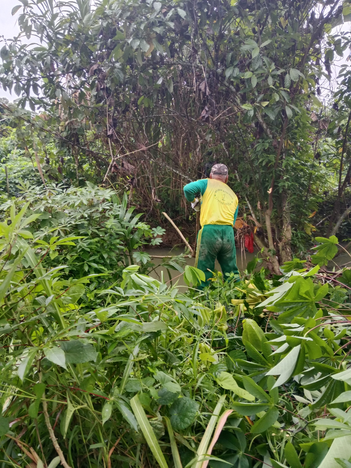 Gotong royong