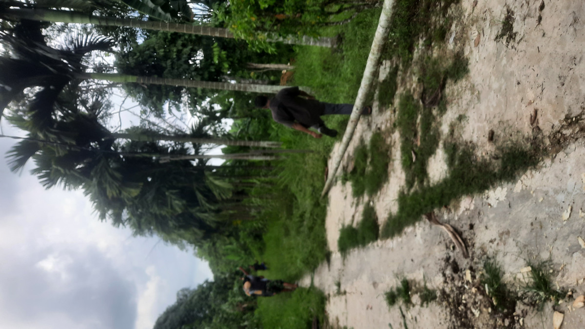 Pembersihan parit