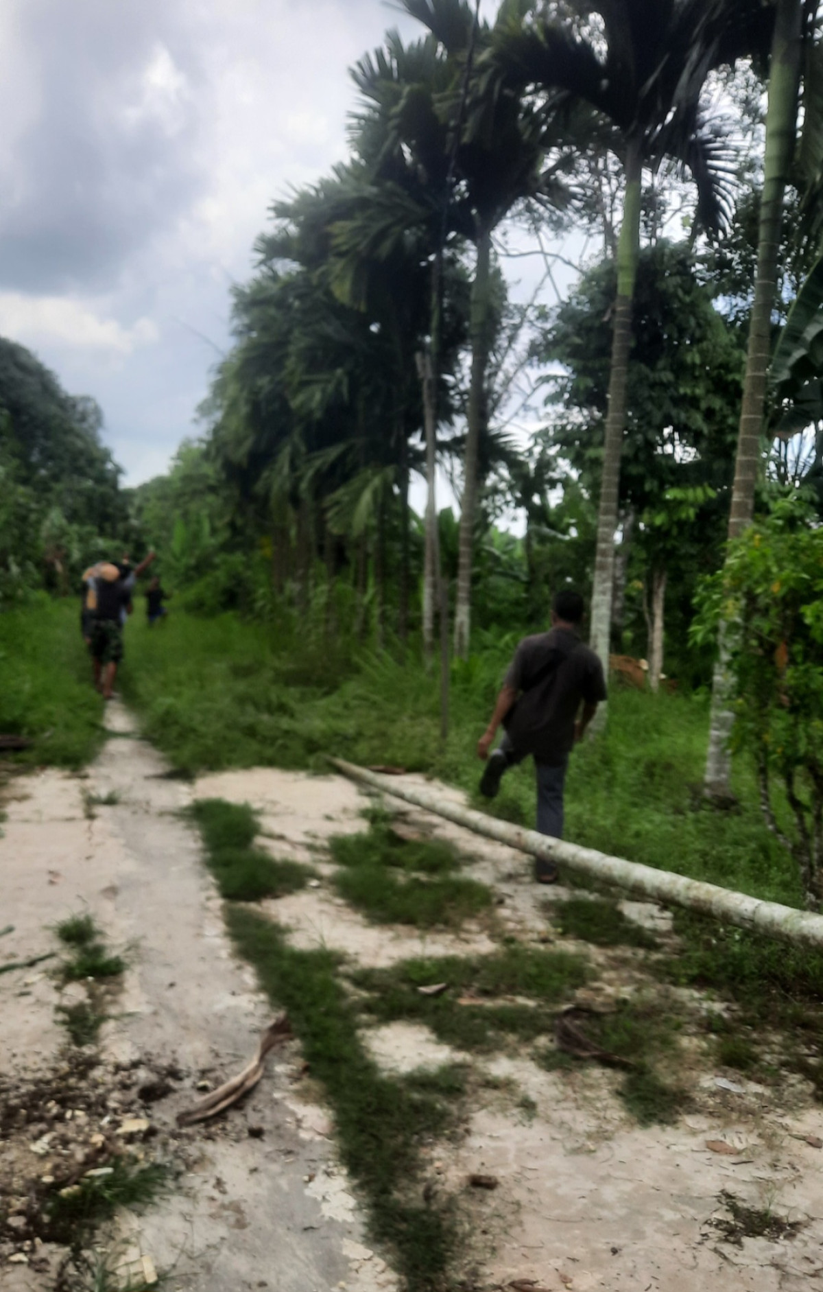Gotong royong
