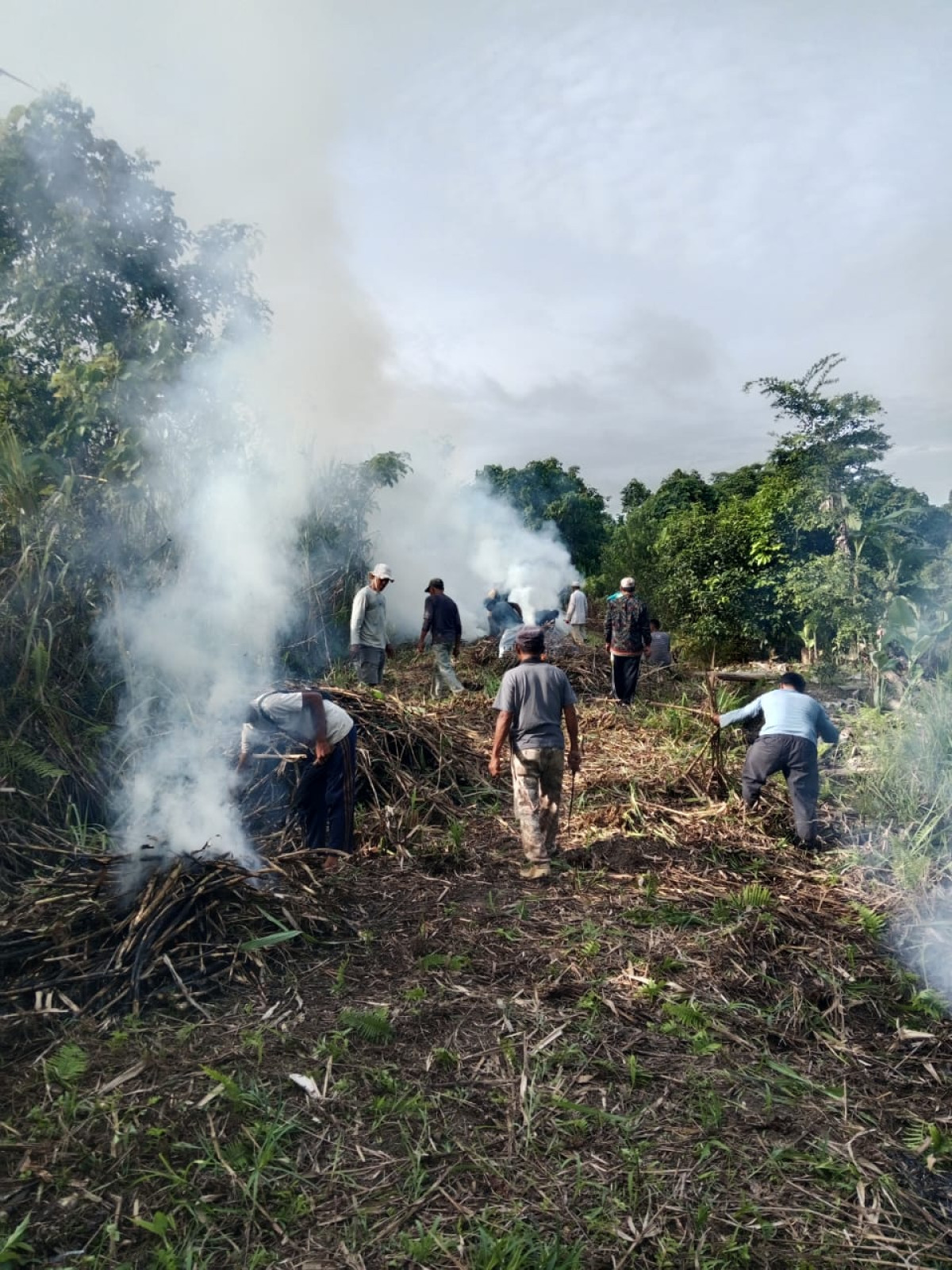 Gotong royong