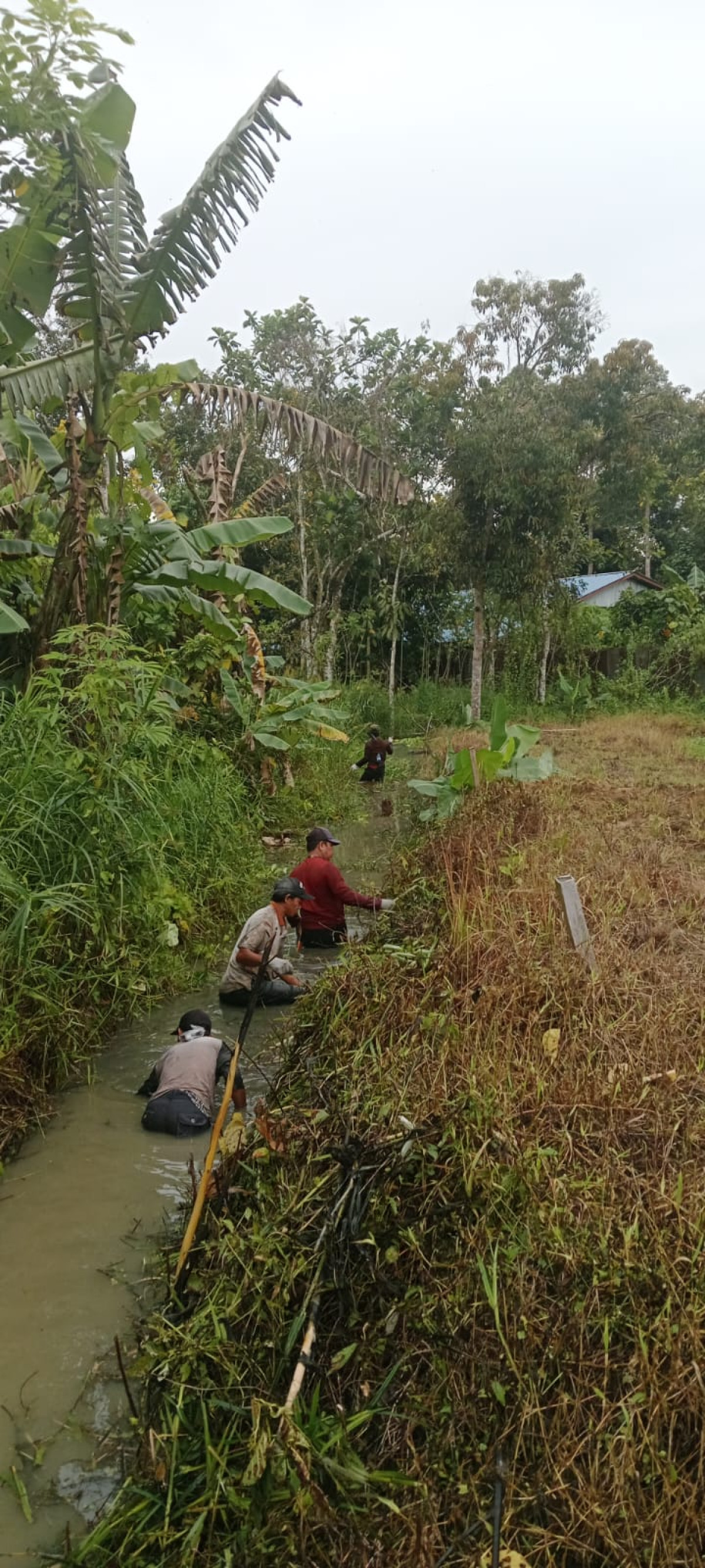 Gotong royong