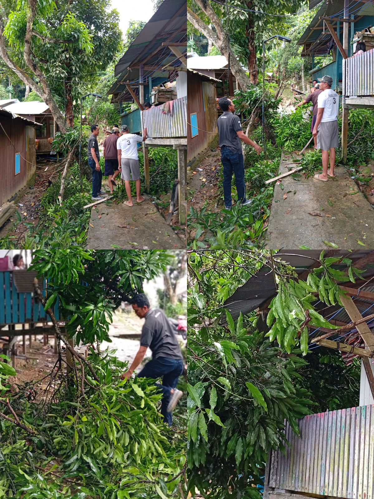Pemotongan kayu pohon tumbang