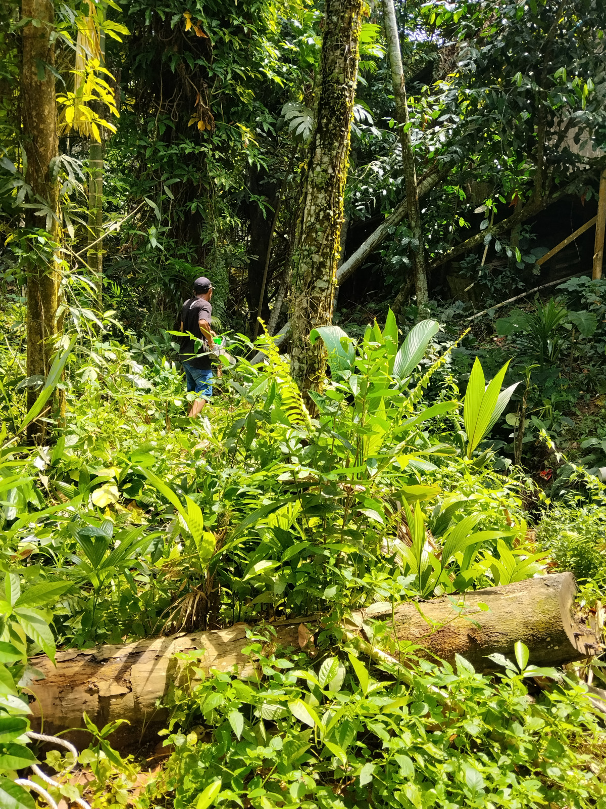 Kerja Bakti Gg. Bambu Indah RT. 18