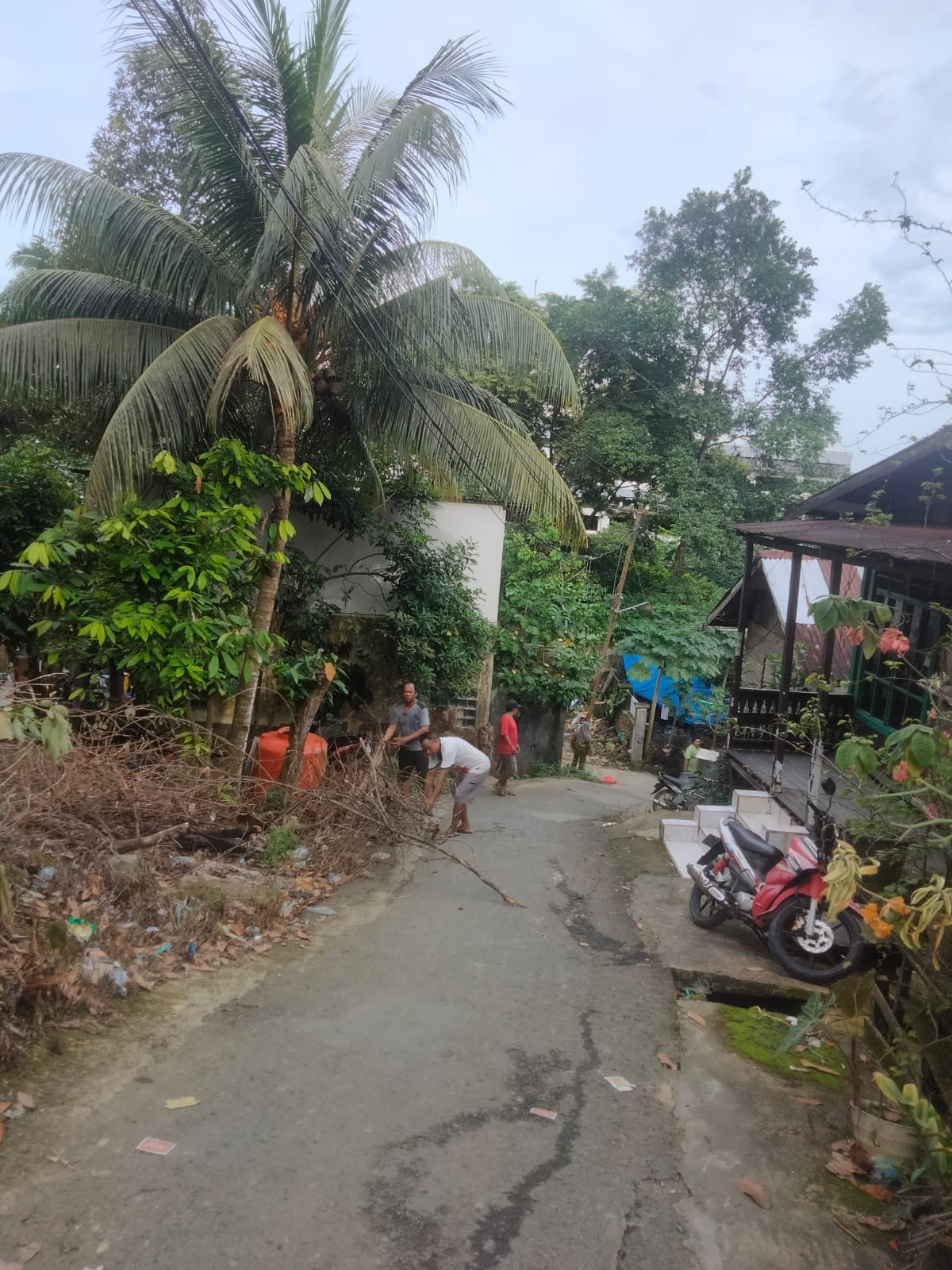 Potong pohon tumbang di wilayah RT 06