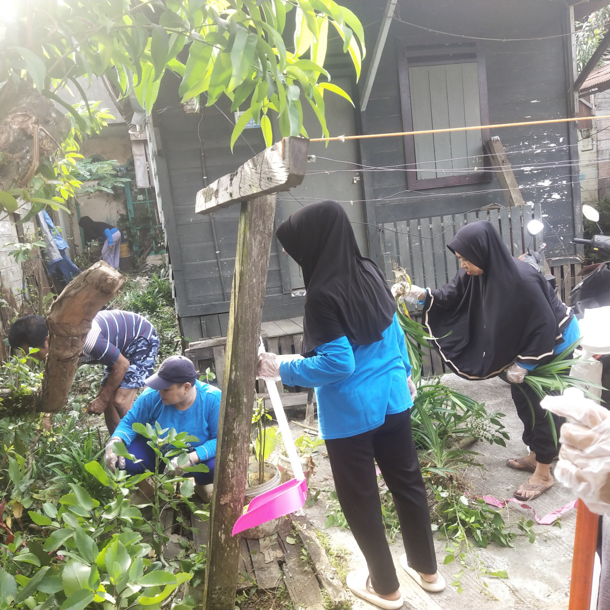 Pembasmian tanaman/rumput liar