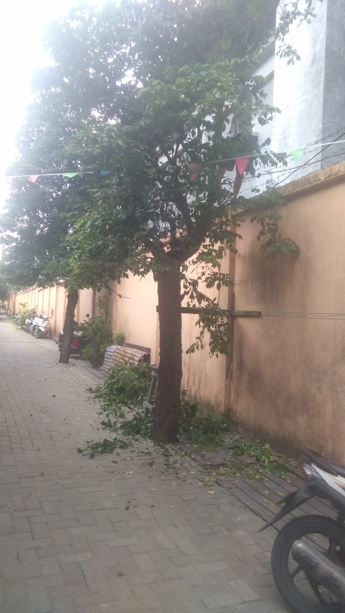 Kerja bhakti / gotongroyong