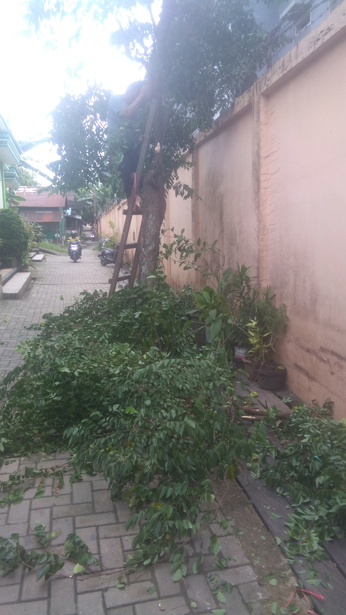 Kerja bhakti