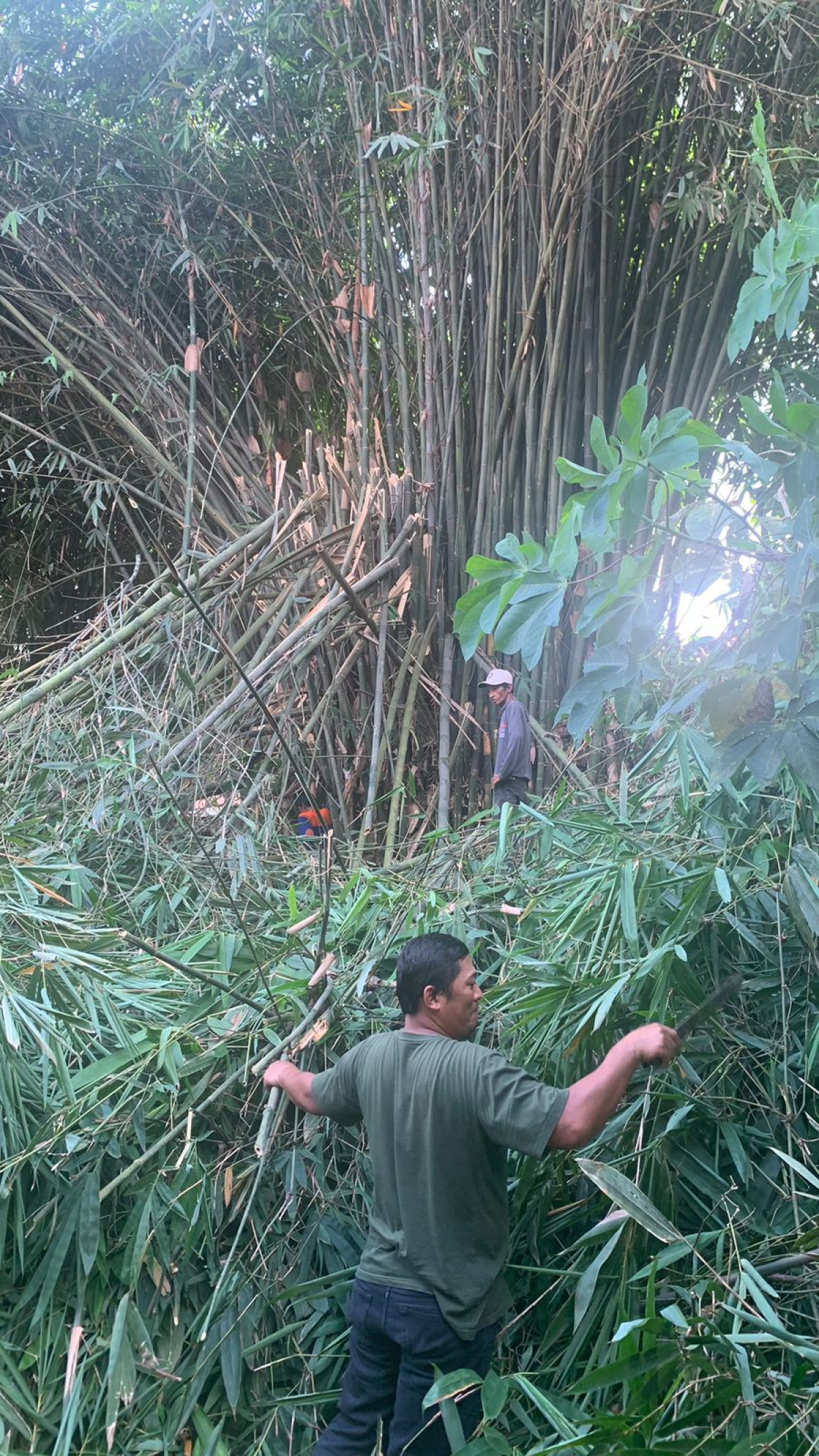 Kerja bakti