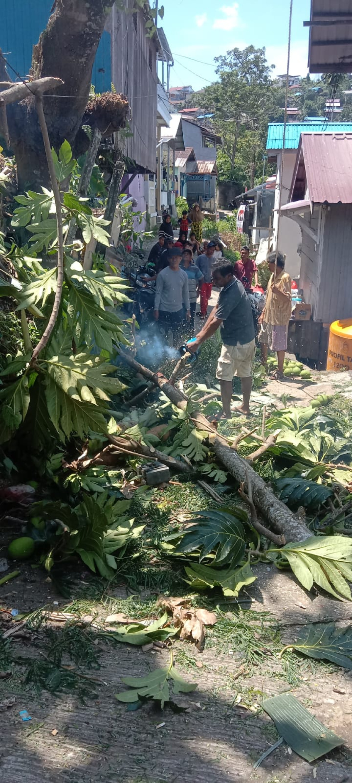 Potong pohon