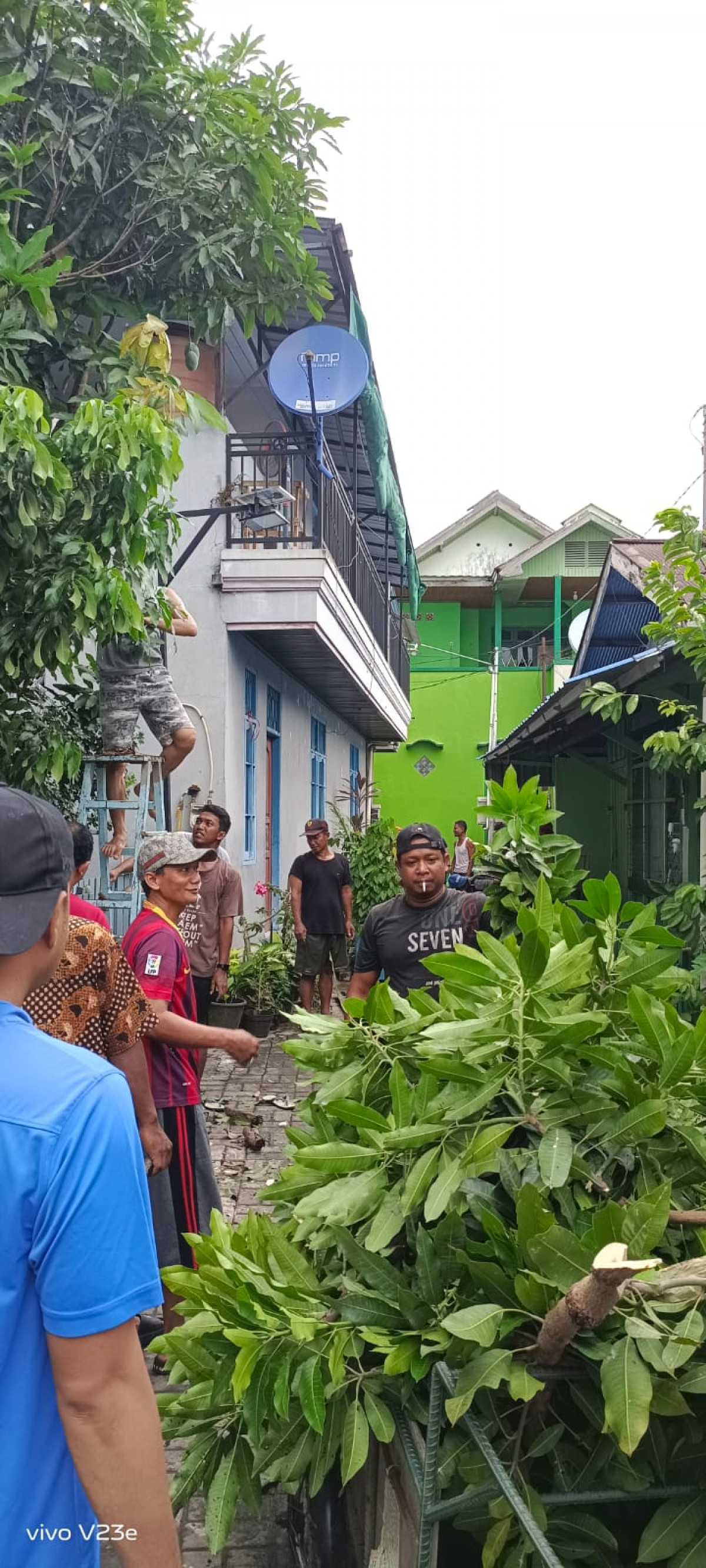 Membersihkan parit dan menebang pohon