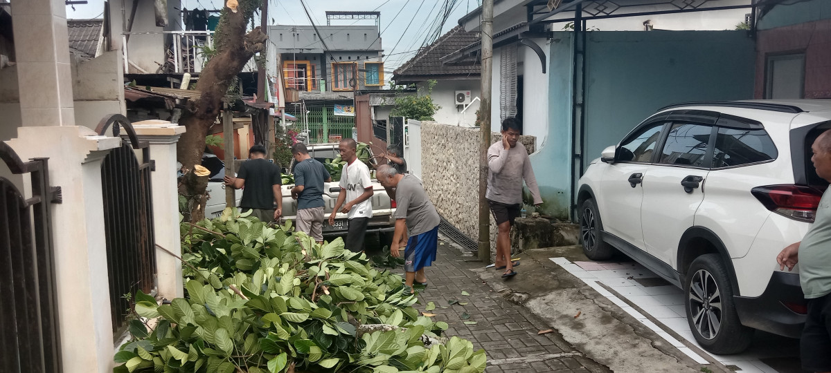 Pemangkasan Pohon