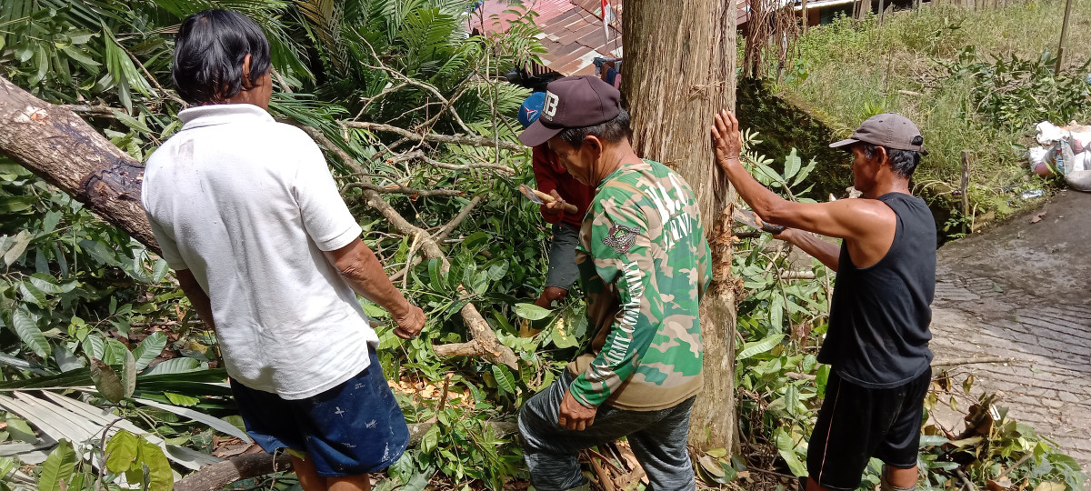 Kerja bakti / Gotong royong tebang pohon