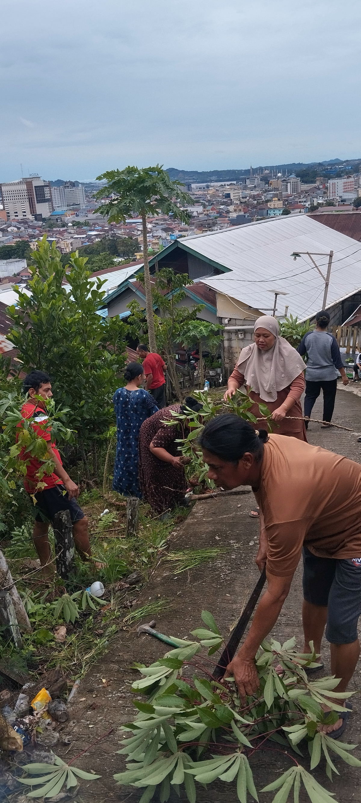 Kerja bakti membersihkan lahan guna di tanami toga dan sayur