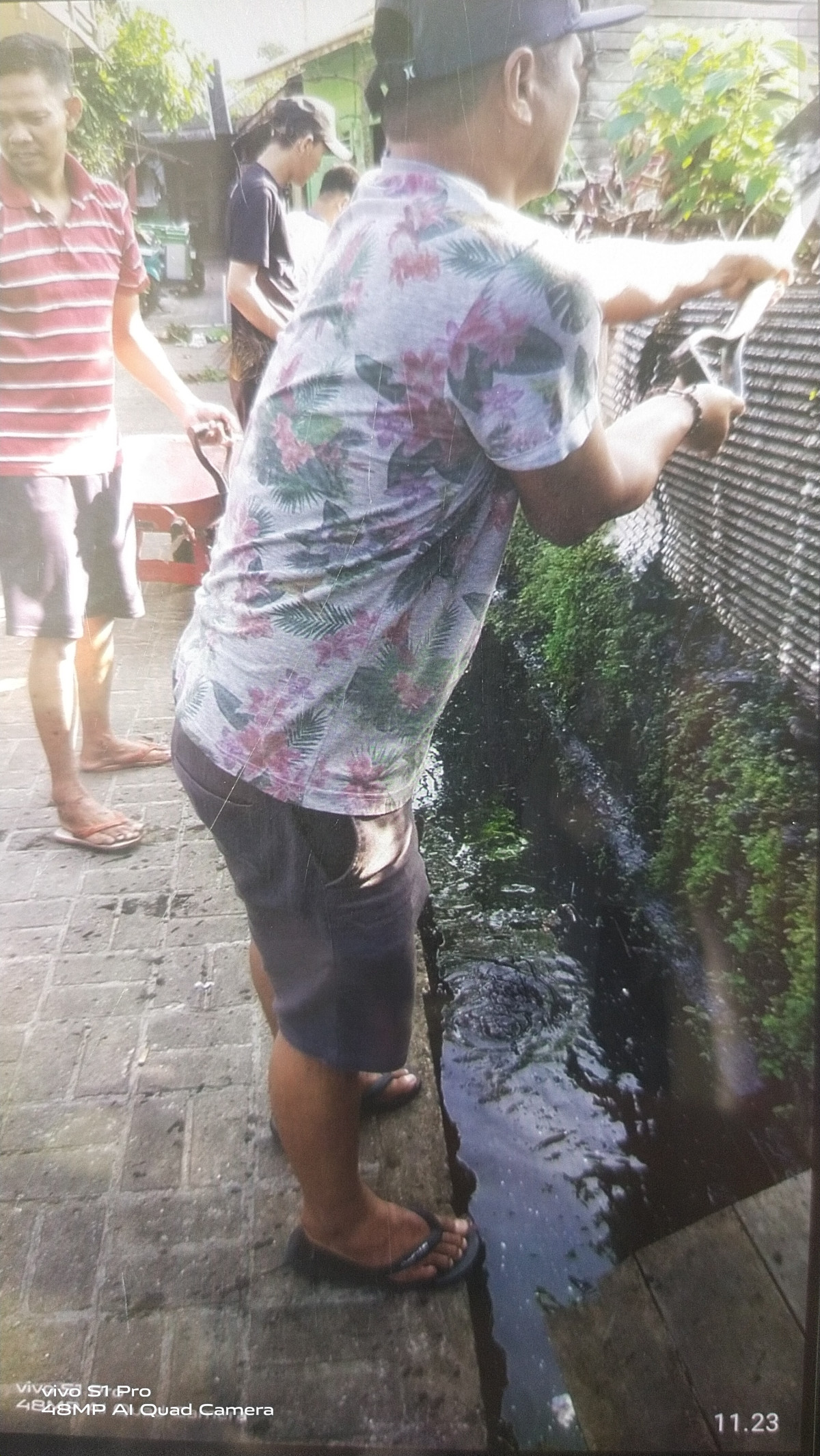 Pembersihan paret