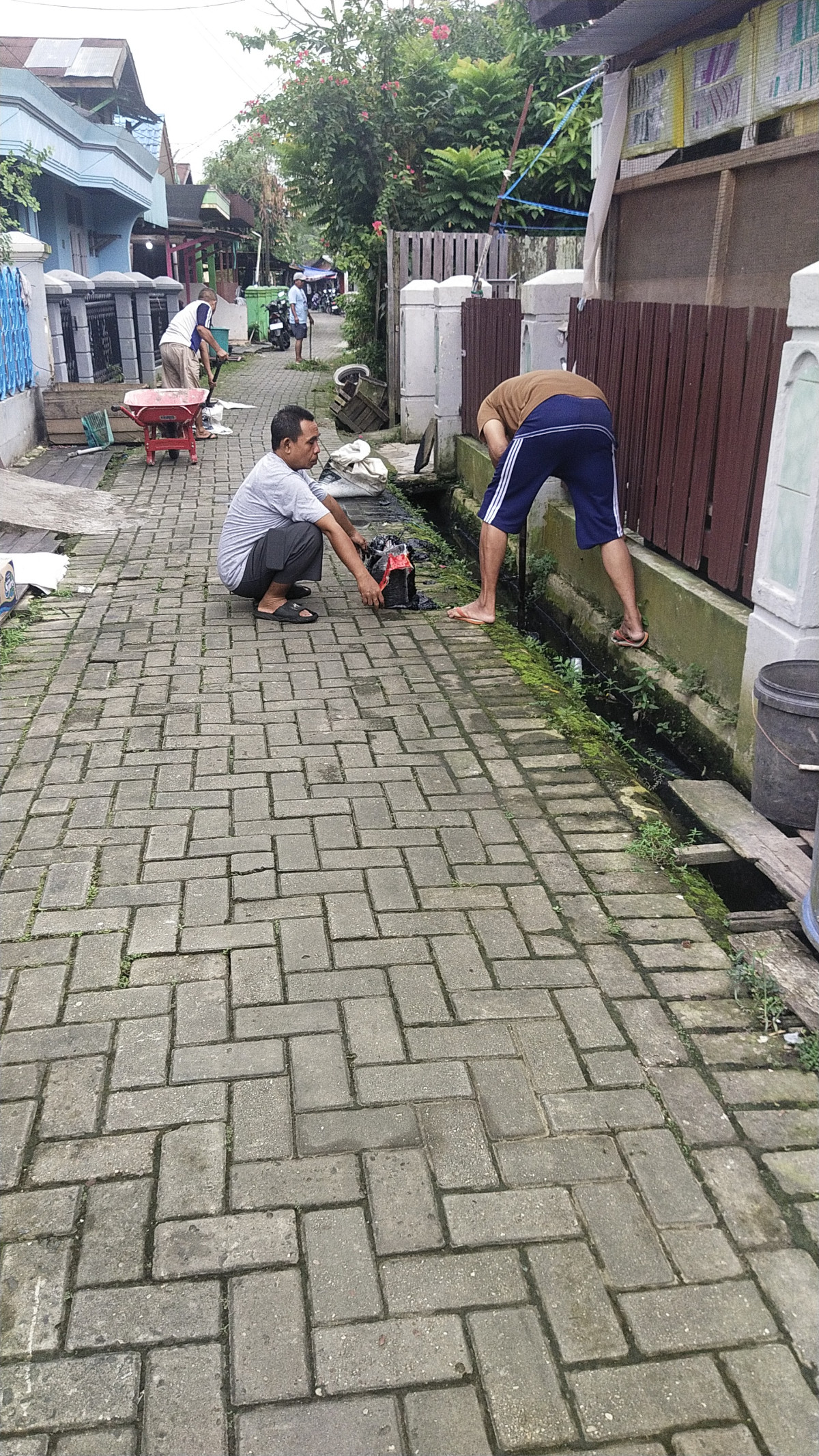 Pembersihan paret