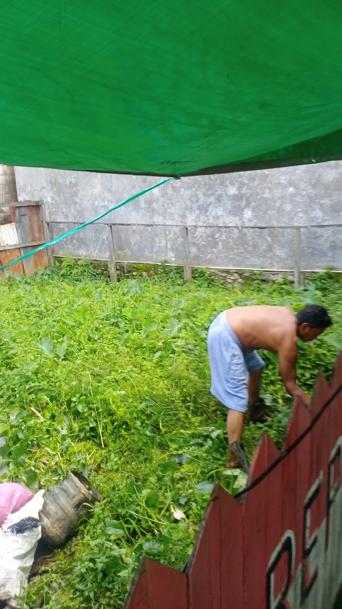 Gotong royong pembersihan lingkungan