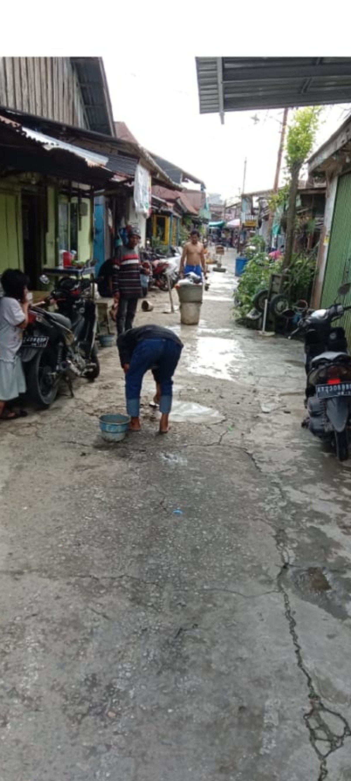 Semenisasi