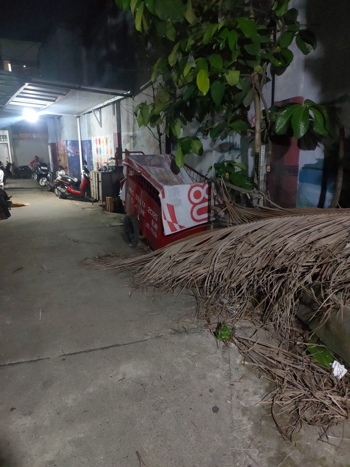 bersihkan pohon yang mati