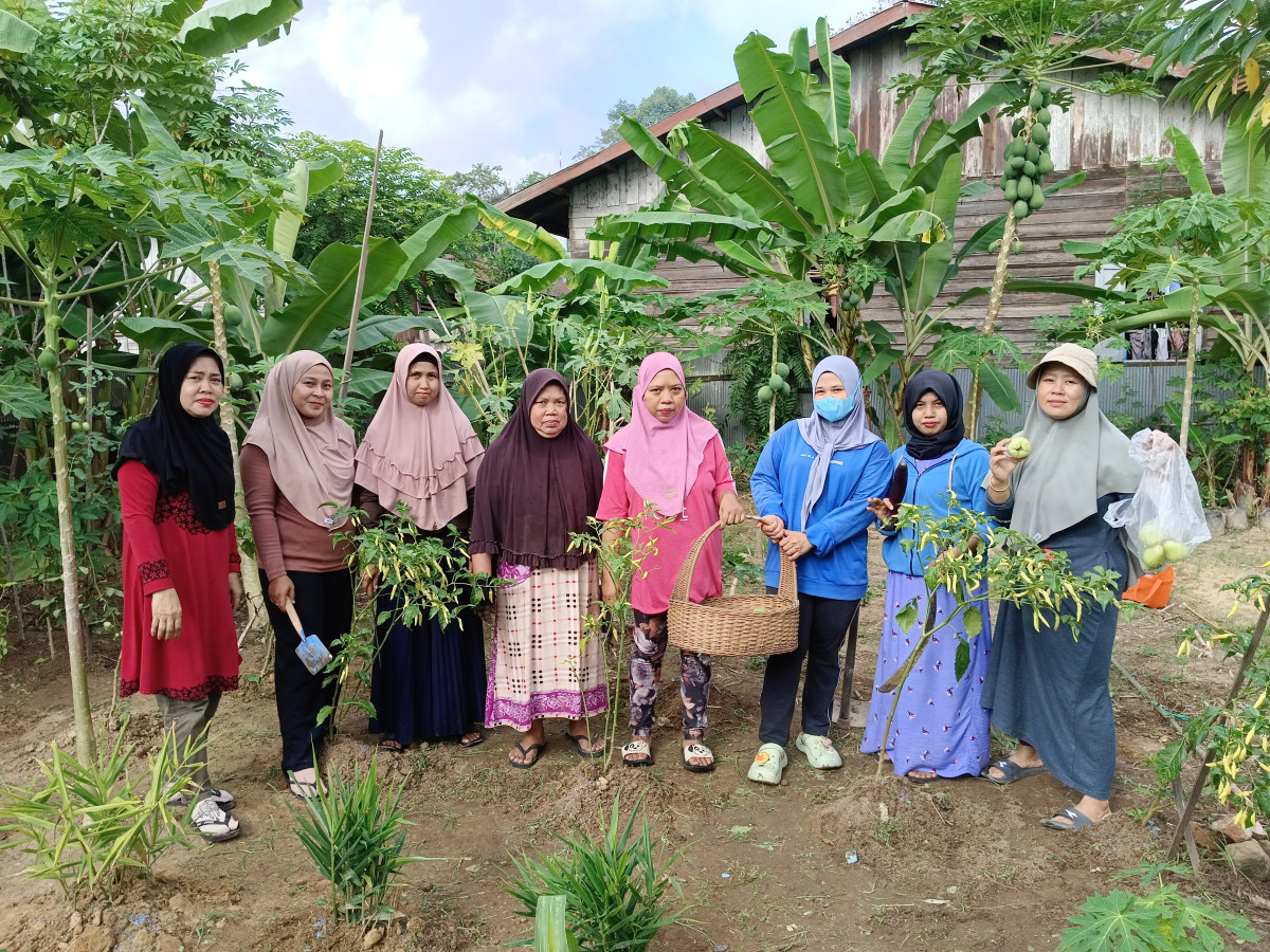 Perawatan tanaman toga oleh Dasawisma