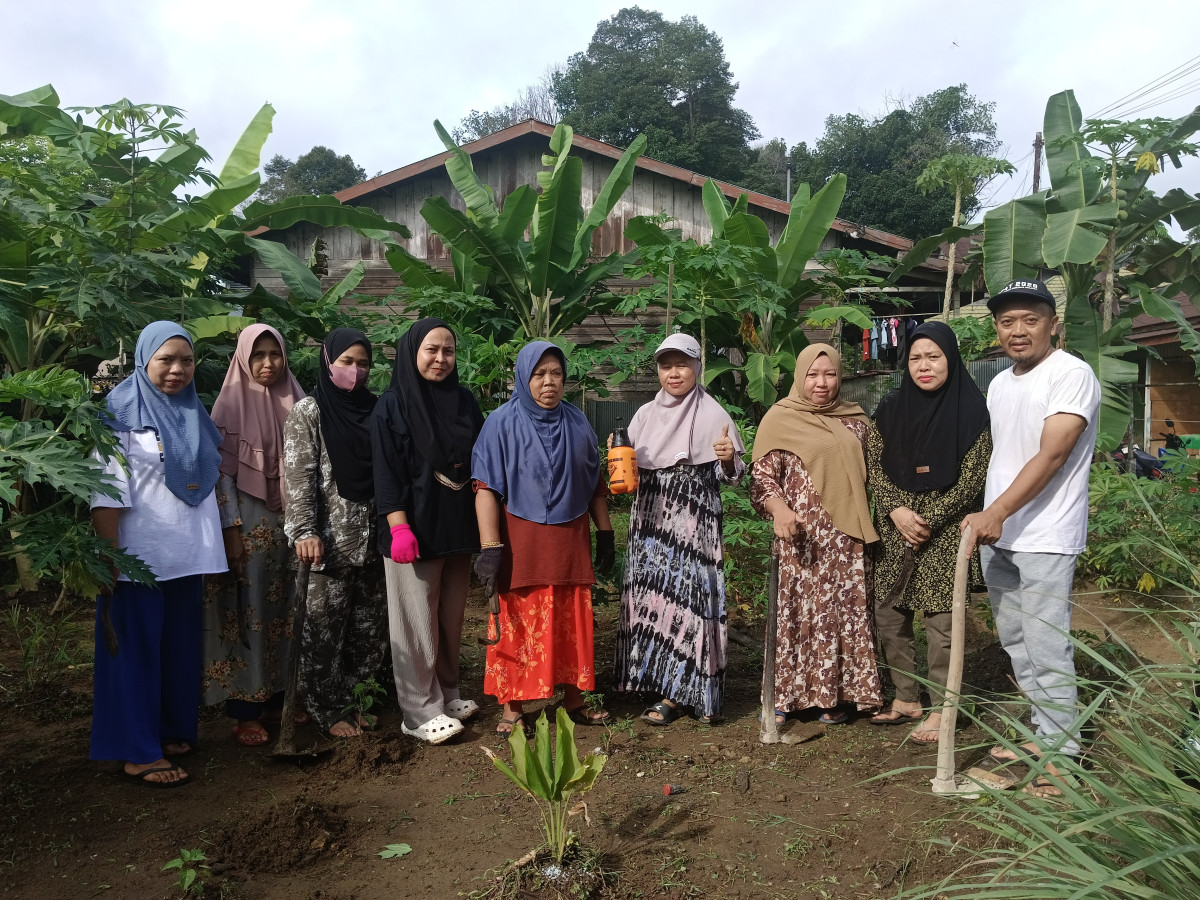 Pemeliharaan tanaman toga