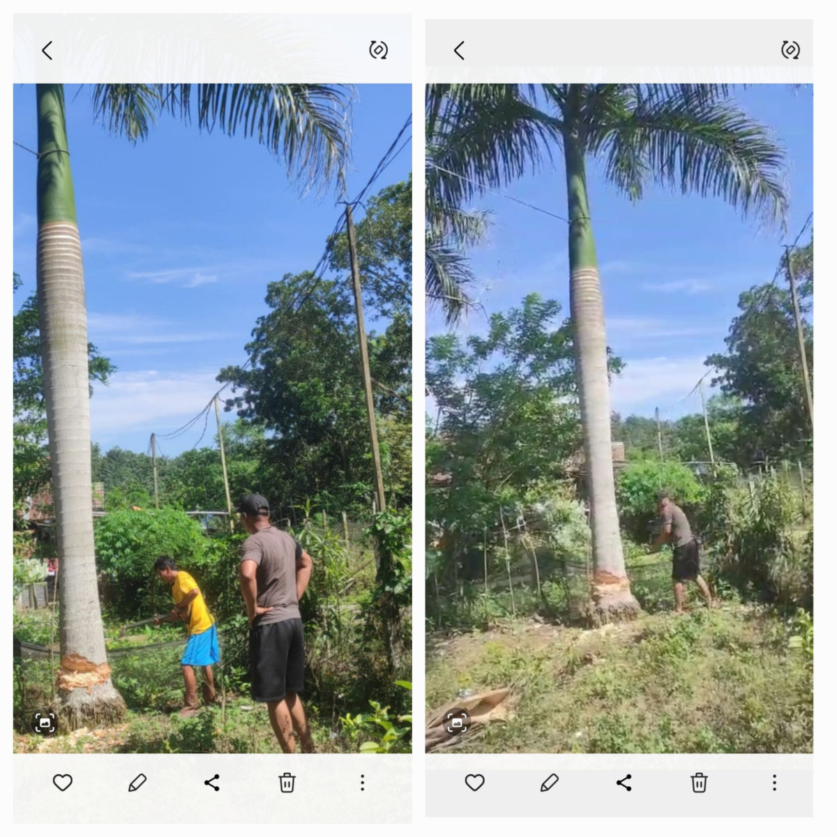 Gotong royong