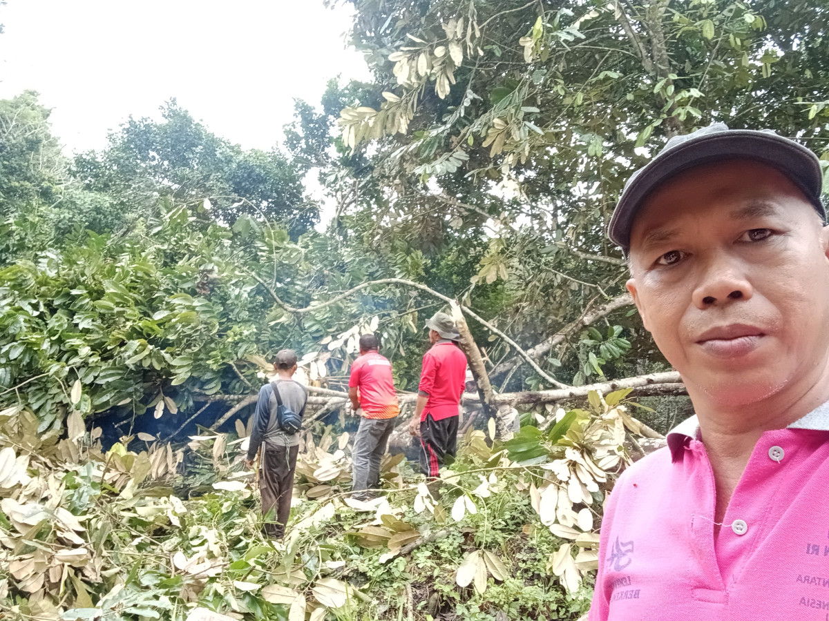 Kegiatan ke 2