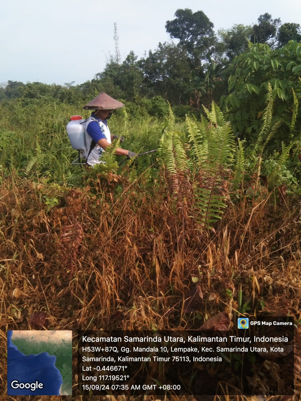 merintis jalan , menyemprot rumput