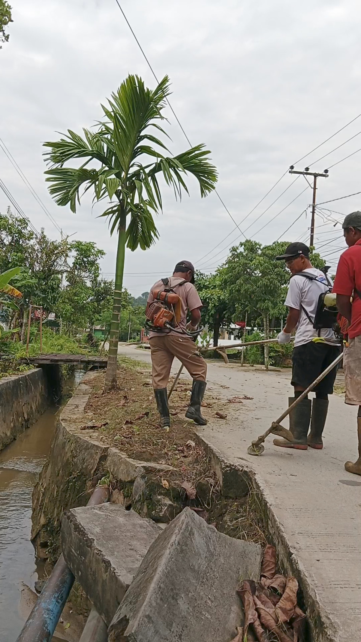 gotong royong warga