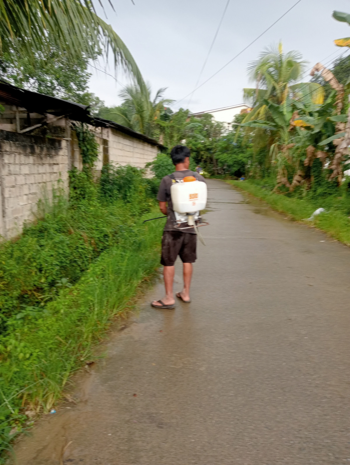 Gotong royong