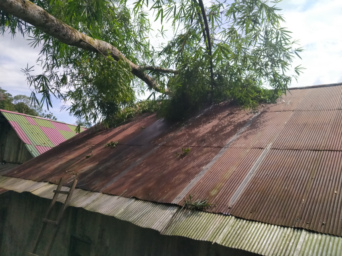 Evakuasi pohon tumbang di rumah warga RT 16 Lempake