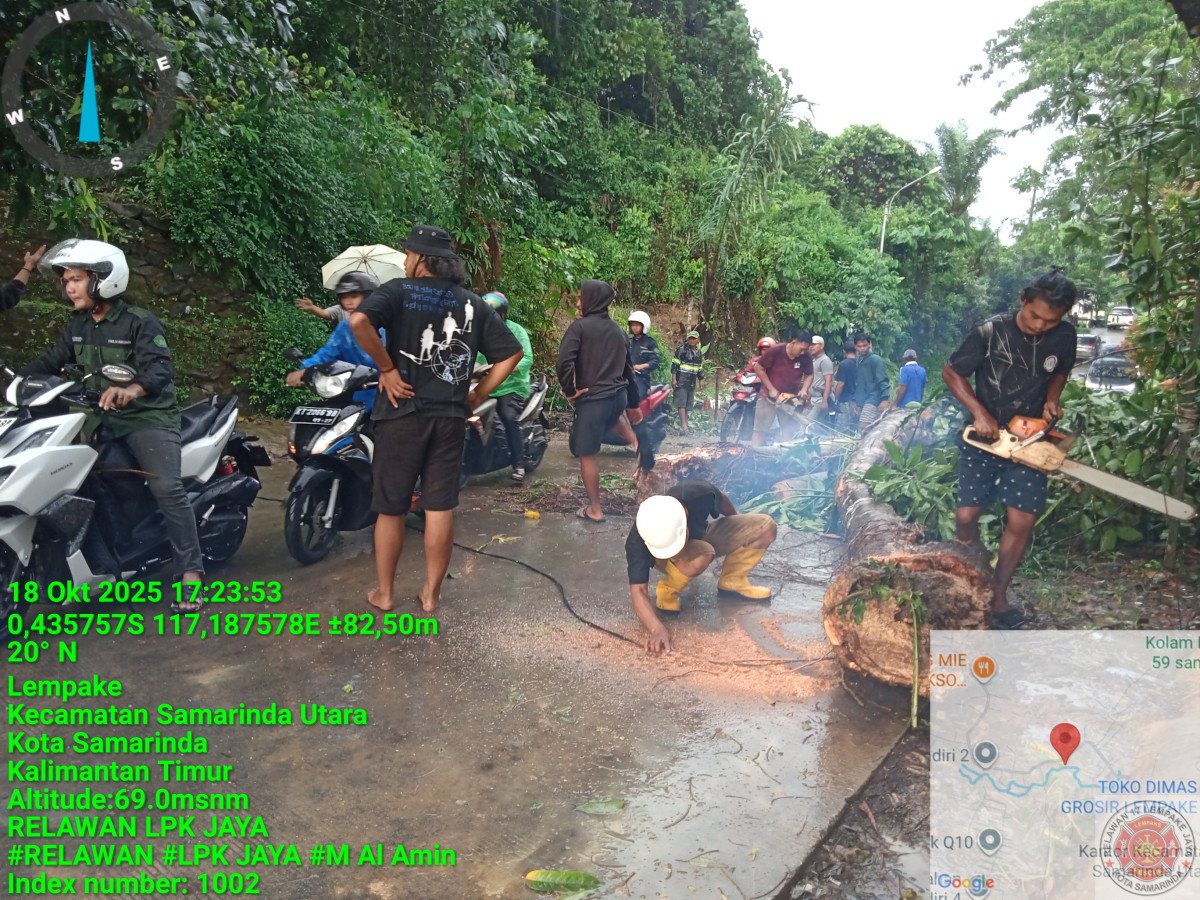 Gotong royong pembersihan pohon tumbang