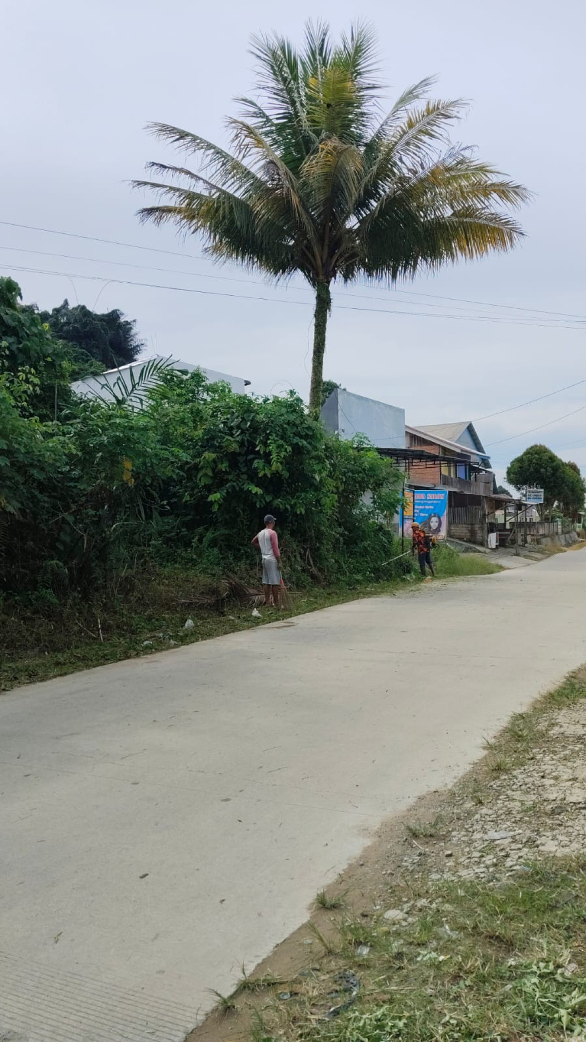 Gotong royong potong rumput