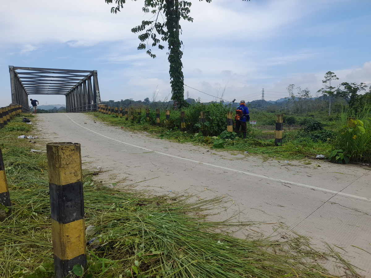 Potong Gulma dan Penanaman Pohon