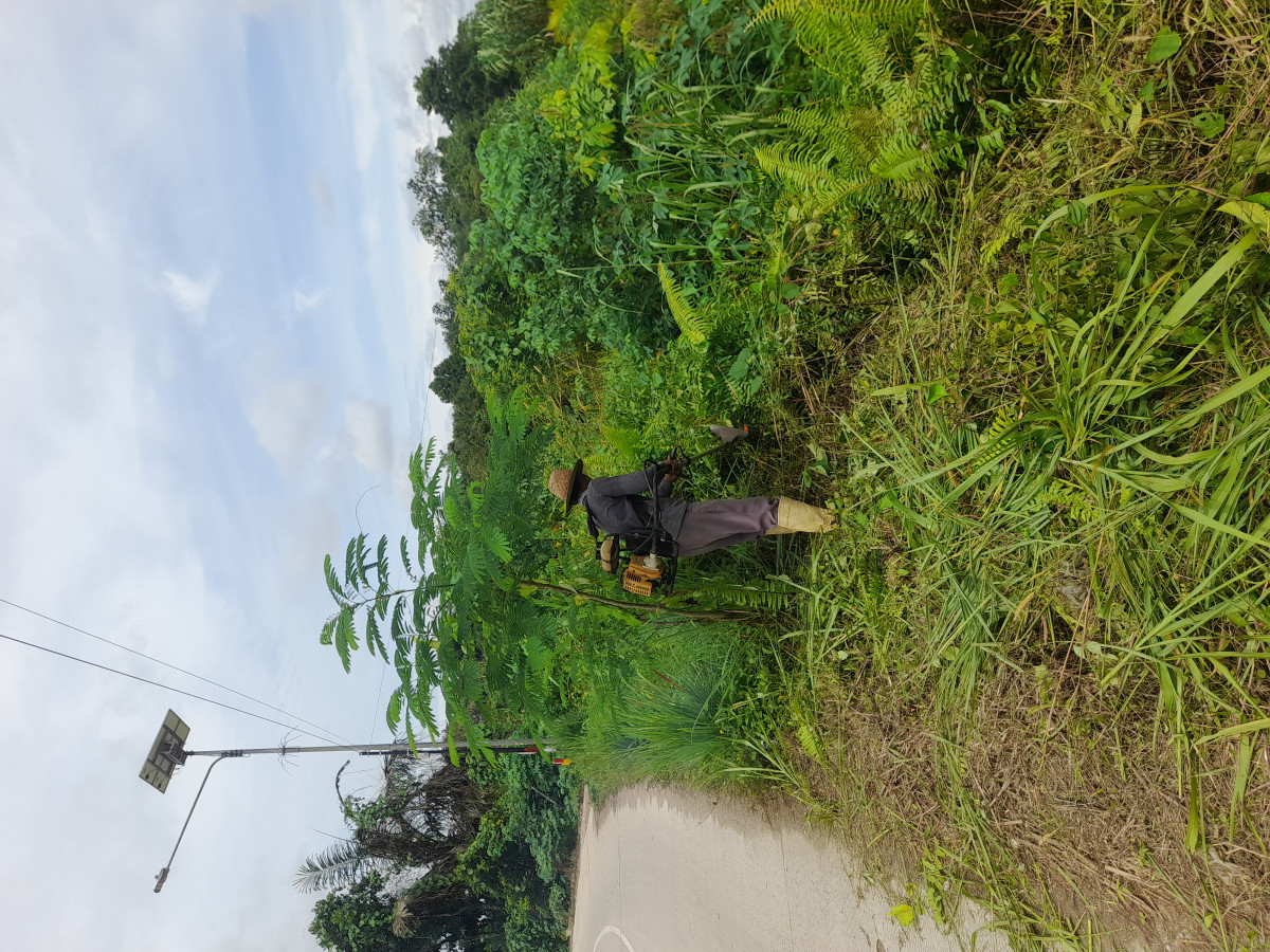 Gotong royong