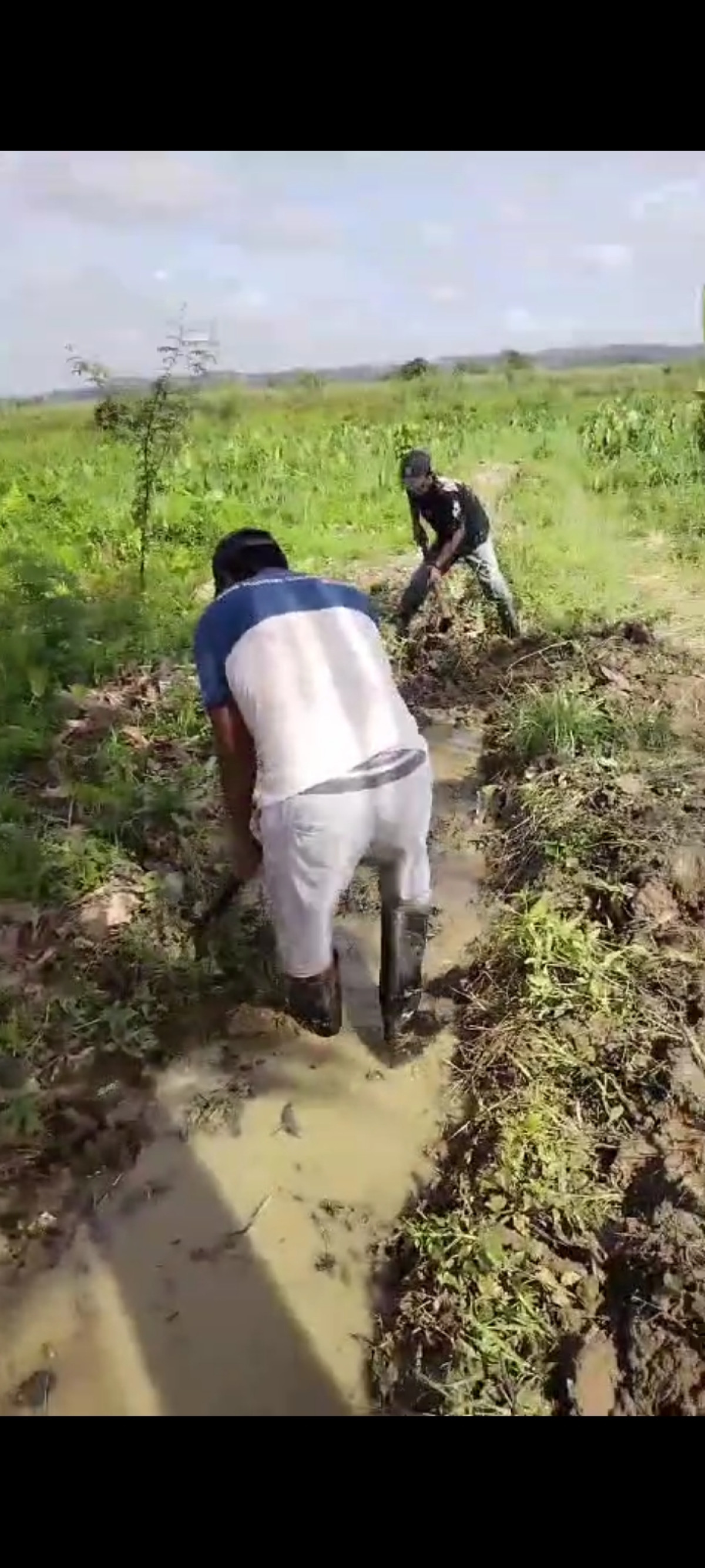 Gotong Royong pengangkatan sidimen.