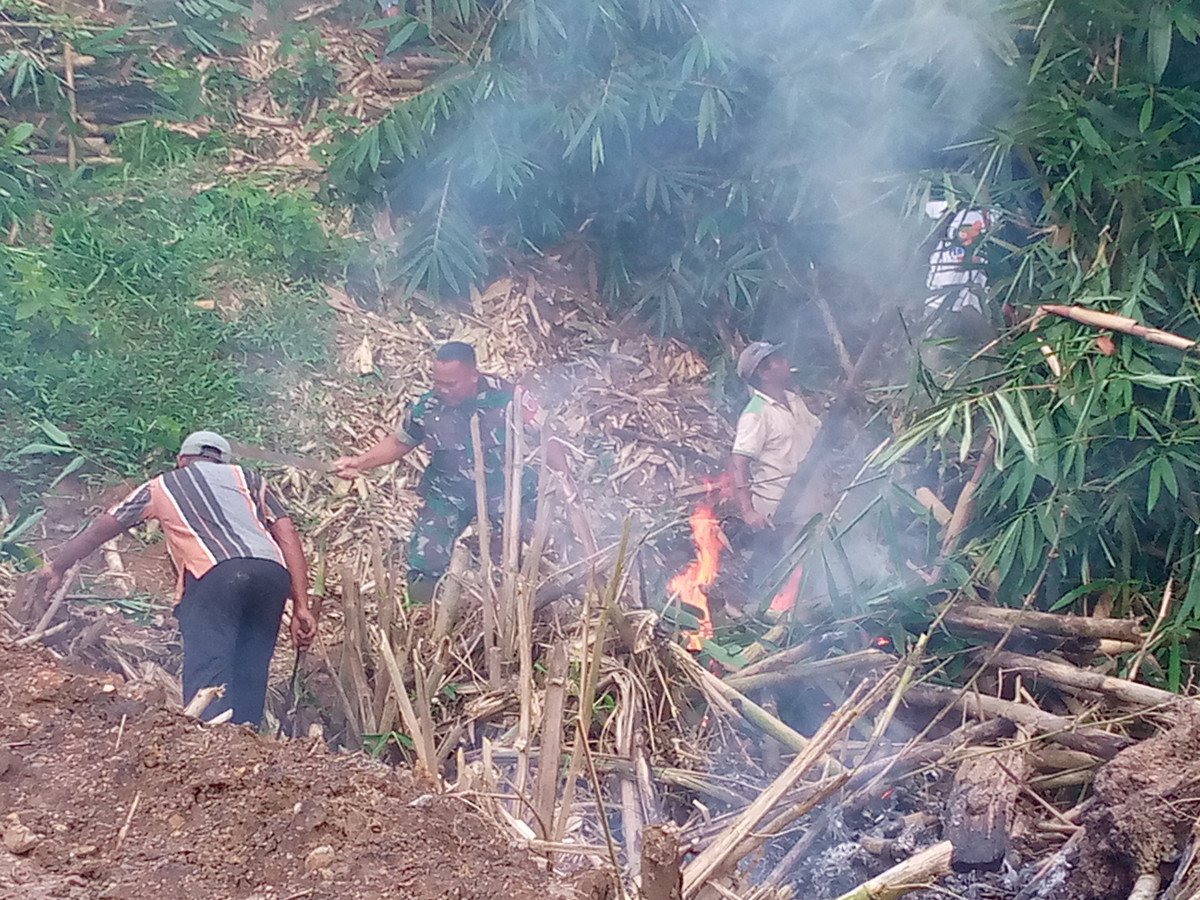 Gotong eoyong