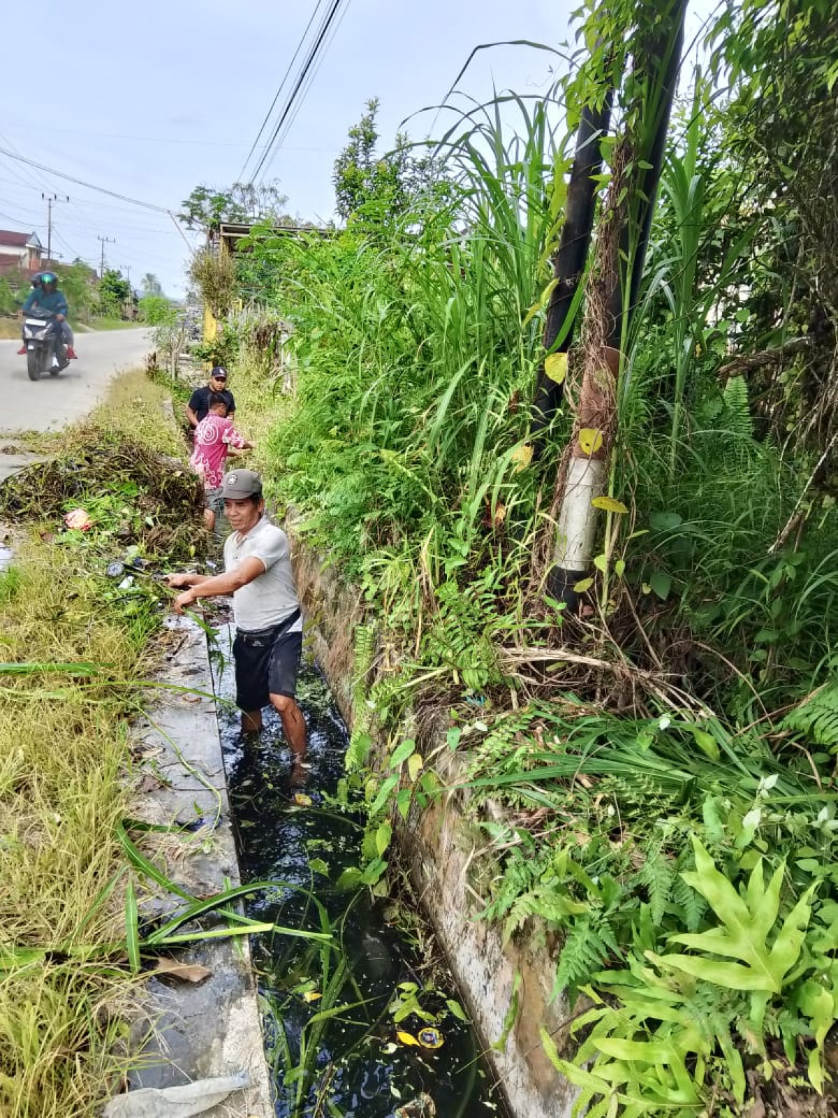 Membersihkan drainase.
