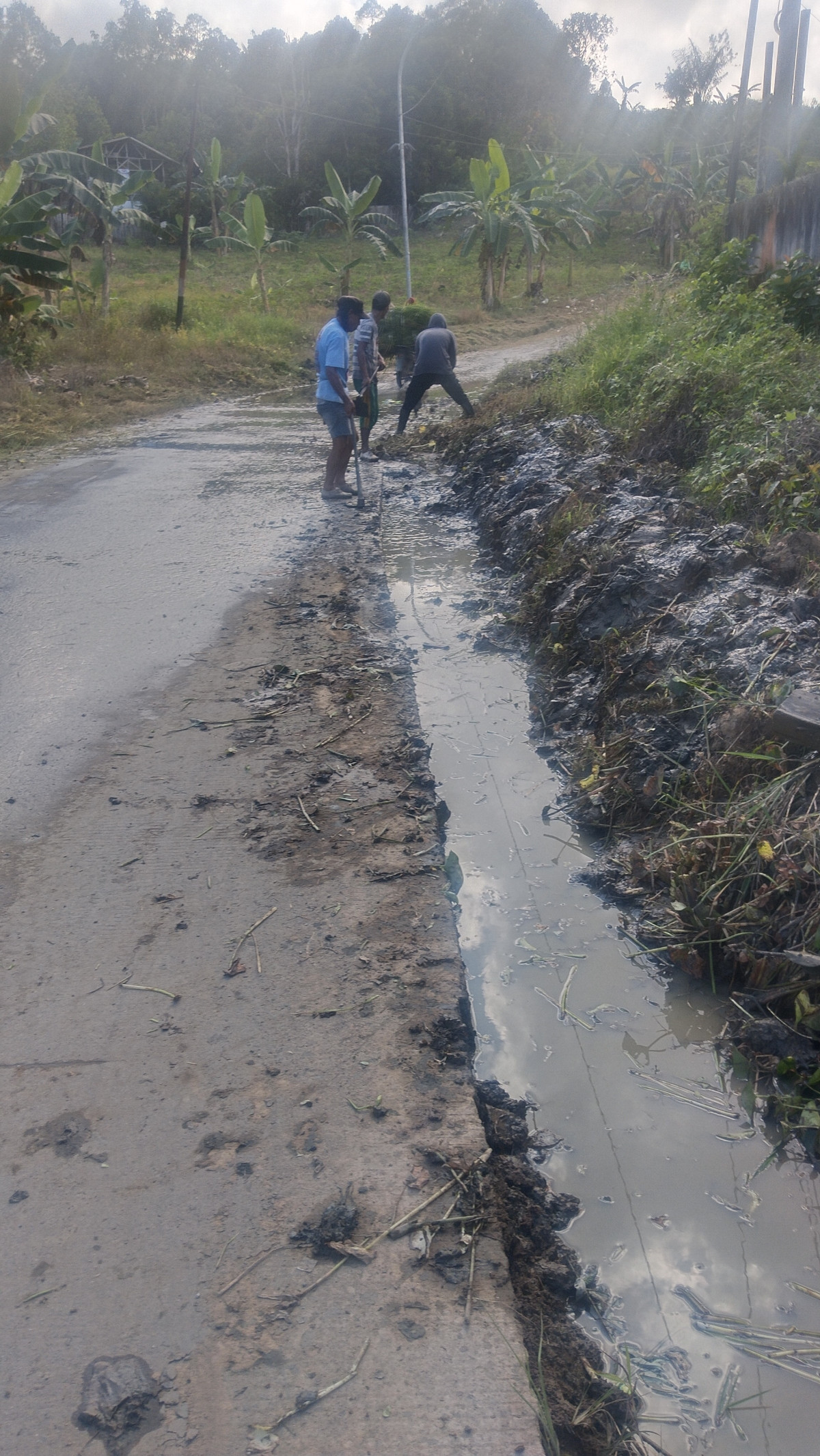 Jalan muang ilir